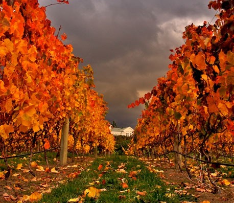 ddos攻击测试工具